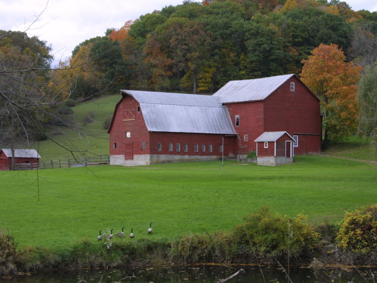 Horseback Riding Areas in Upstate New York Ranches and Trails
